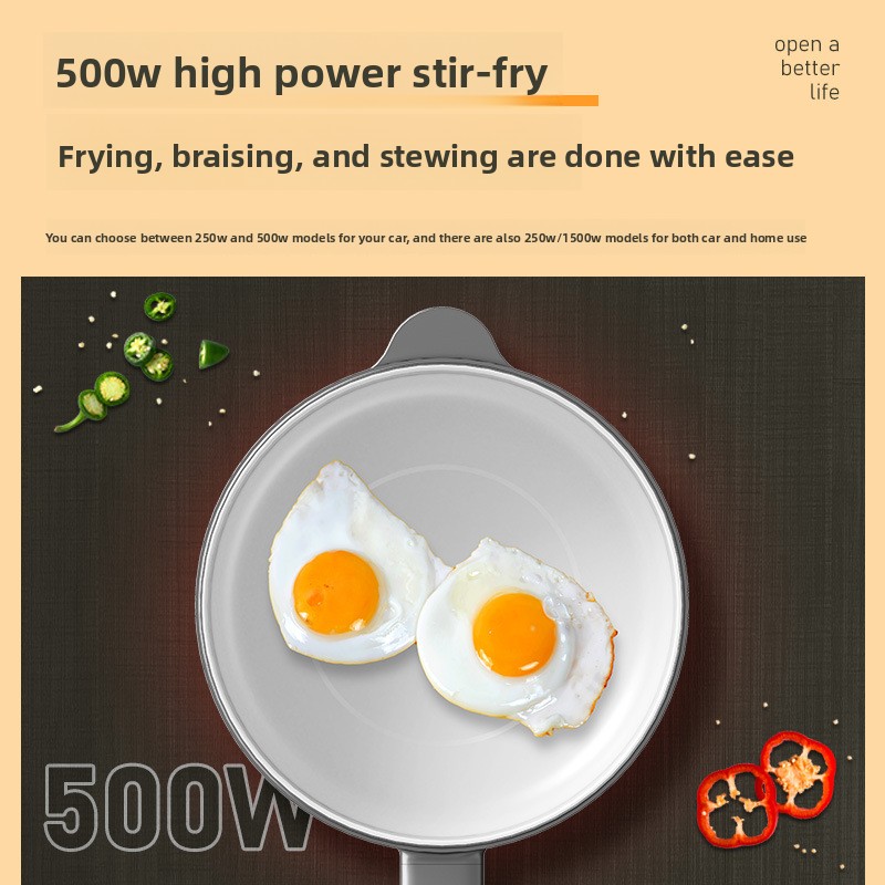 Dual-Use 24V High Power Electr - Hot Pot Portable Dual 评论和价格
