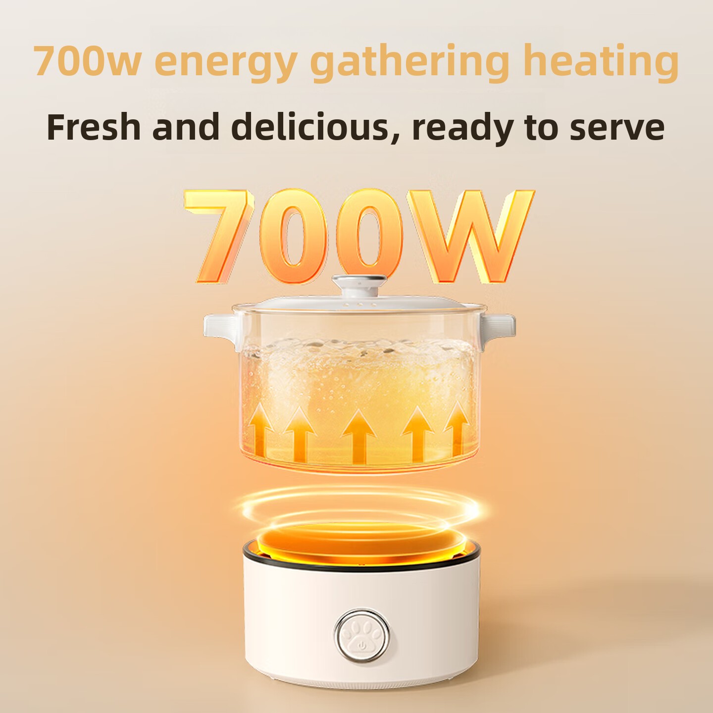 2L Dual Voltage 110V 220V Fold - Hot Pot Portable Dual 评论和价格